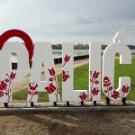 O Paliću​